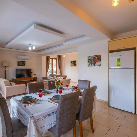 Infinity Opal 올루데니스