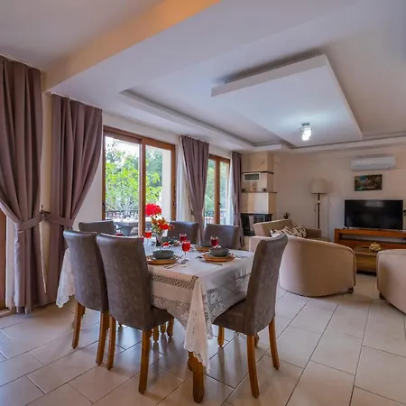 Infinity Opal 올루데니스