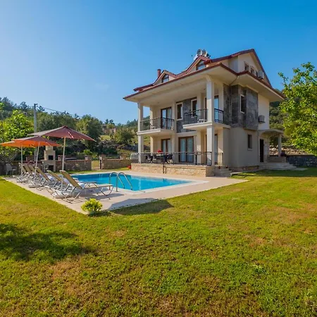 Infinity Opal 올루데니스